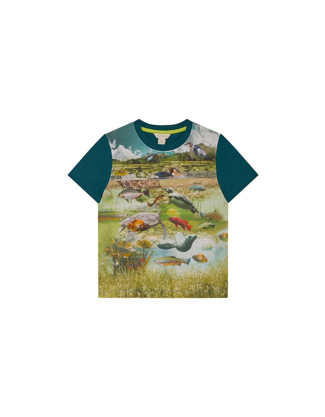 Boys Pond Life T-shirt - Multi, 2 of 1