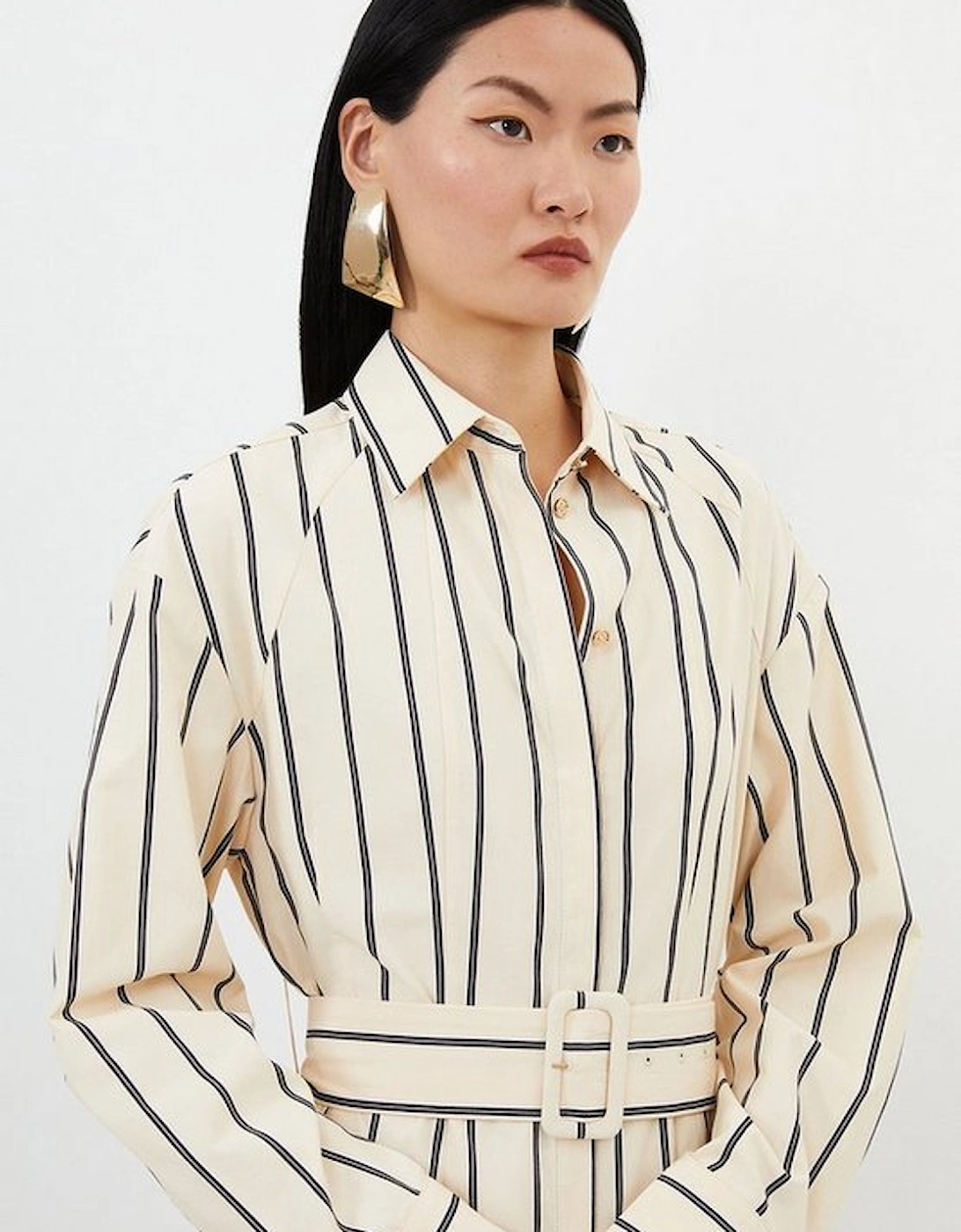 Cotton Stripe Belted Woven Shirt Dress