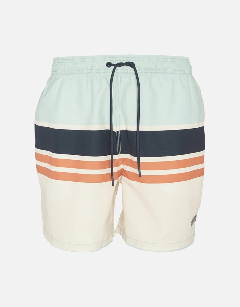 Block Stripe Swimshorts GN22 Green Fig