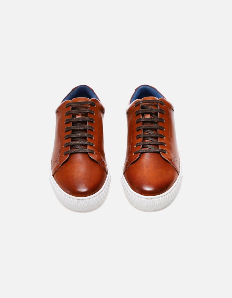 Leather Hayle Trainers