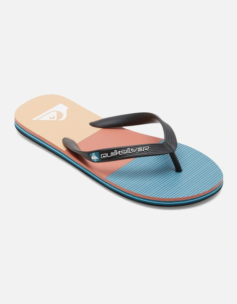 Mens Molokia Stripe Flip Flops