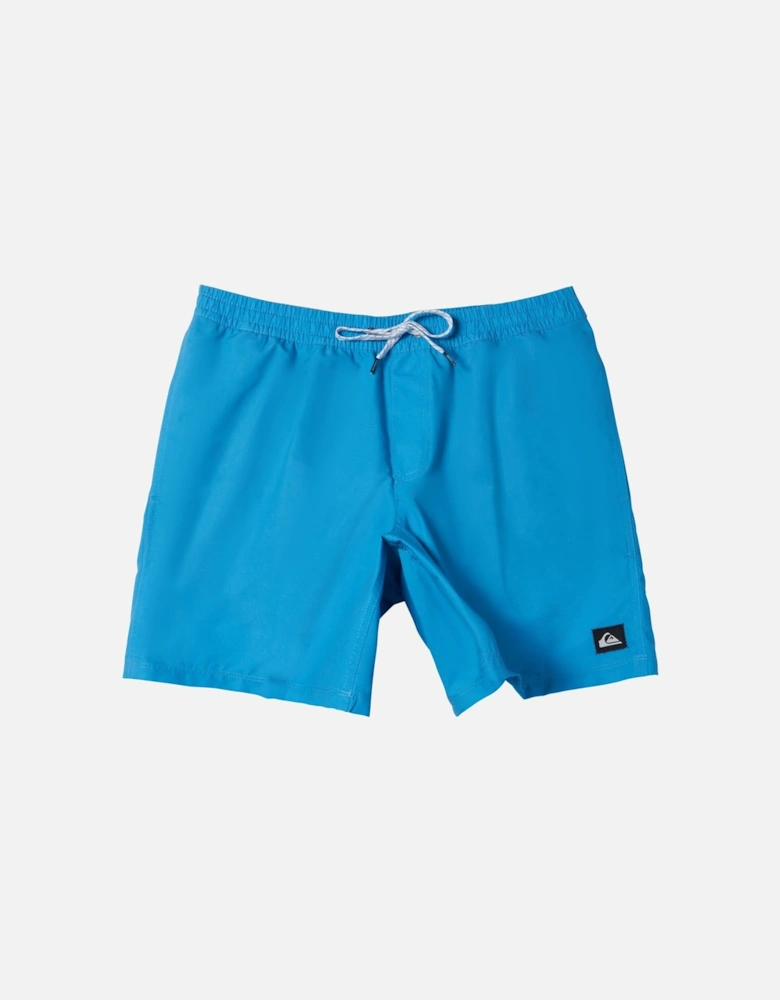 Mens Everyday 15" Swim Shorts