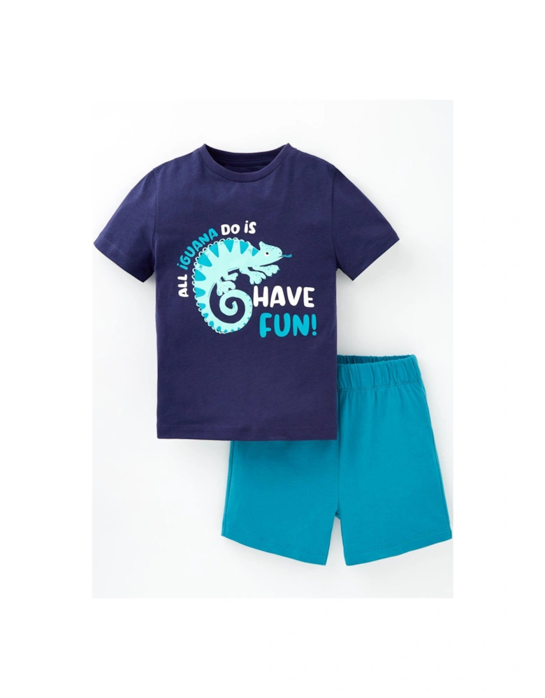 Boys Iguana Short Sleeve T-Shirt and Short Set - Multi