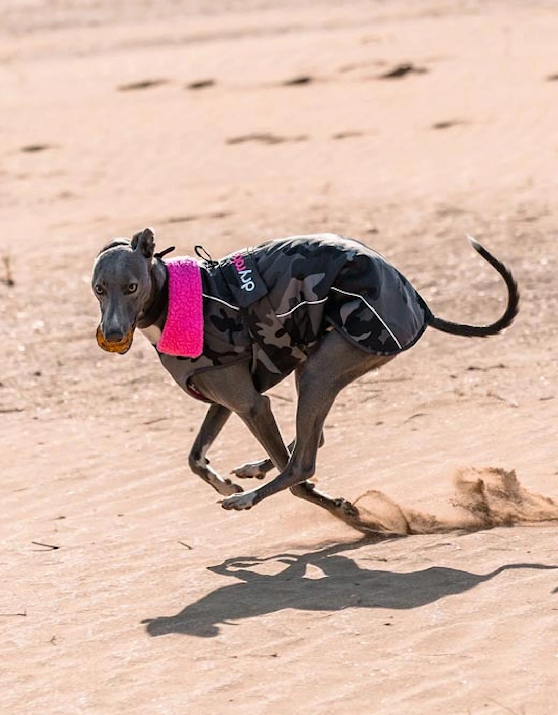 Dog Coat Black Camo/Pink