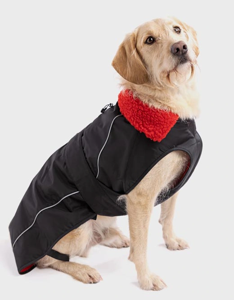 Dog Coat Black/Red