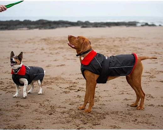 Dog Coat Black/Red