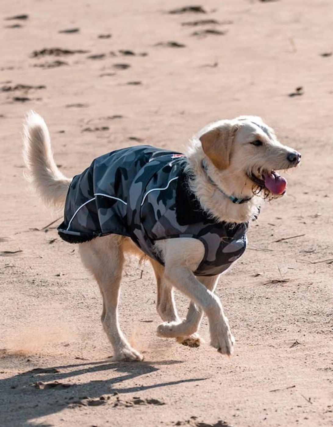 Dog Coat Black Camo/Black