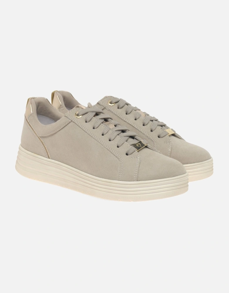 Strike Womens Trainers