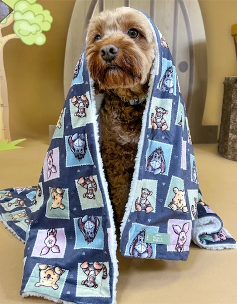 Dog Blanket Winnie & Friends