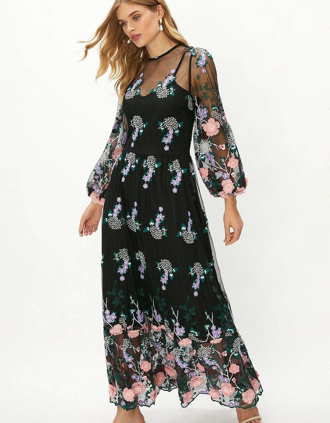 Embroidered Mesh Midaxi Dress, 5 of 4
