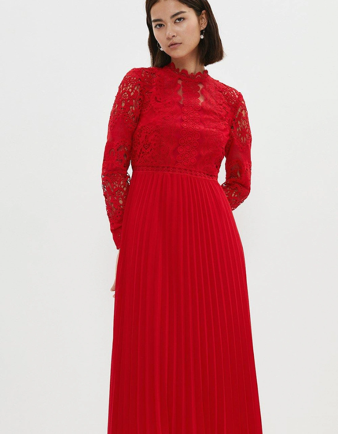 Petite Sleeved Lace High Neck Pleated Dress, 5 of 4