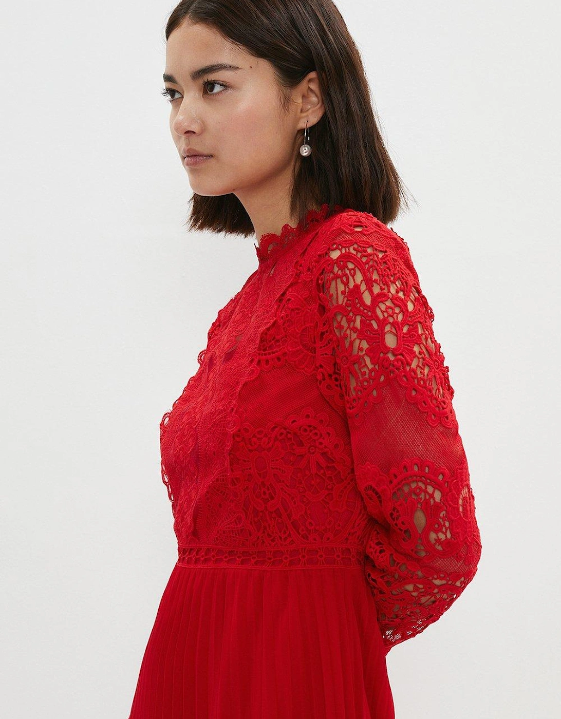 Petite Sleeved Lace High Neck Pleated Dress