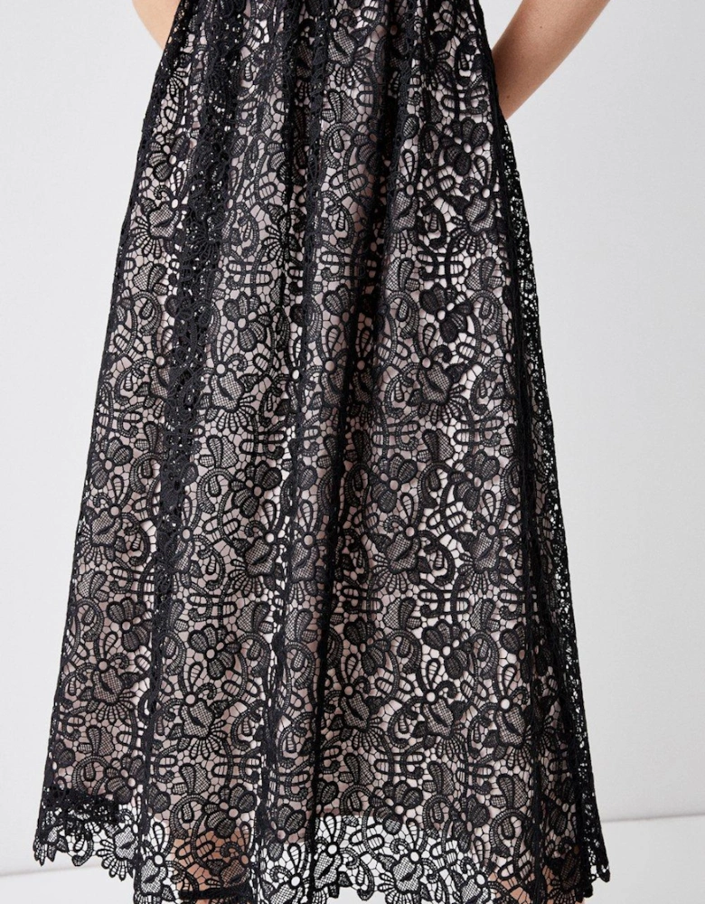 Lace Panelled Bodice Full Skirt  Midi Dress