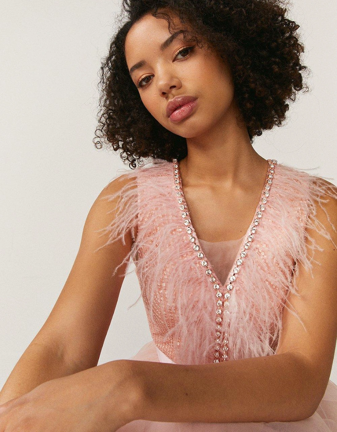Feather Detail Plunge Dress