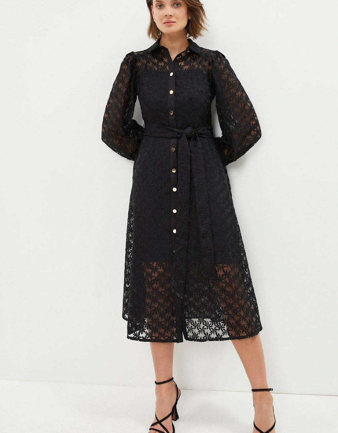 Embroidered Organza Long Sleeve Shirt Dress, 5 of 4