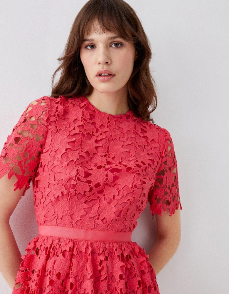 Lace Fit & Flare Midi Dress