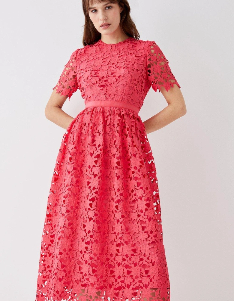 Lace Fit & Flare Midi Dress