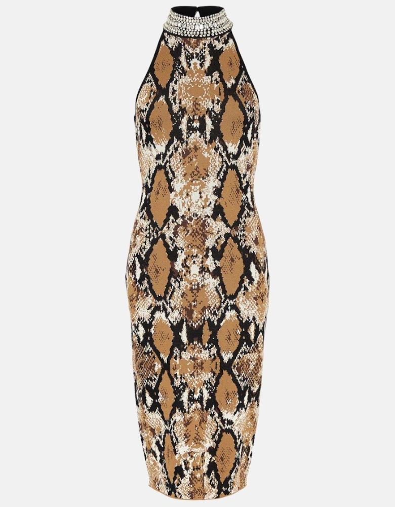 Embellished Neck Snake Knit Jacquard Dress