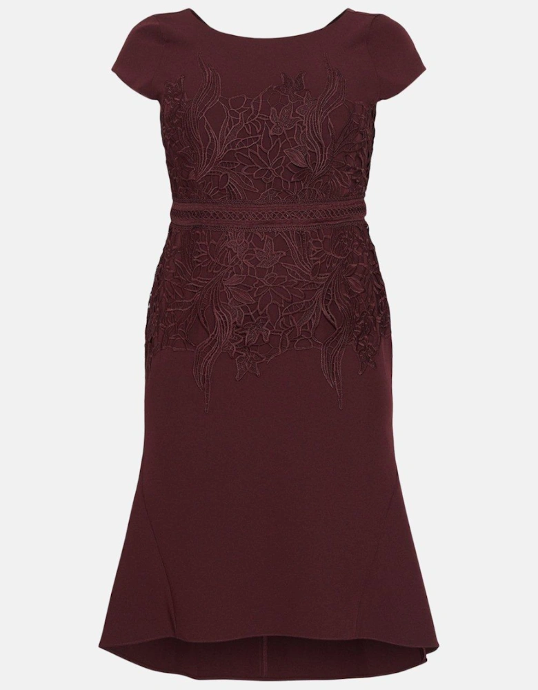 Plus Size Lace Dress With Crepe