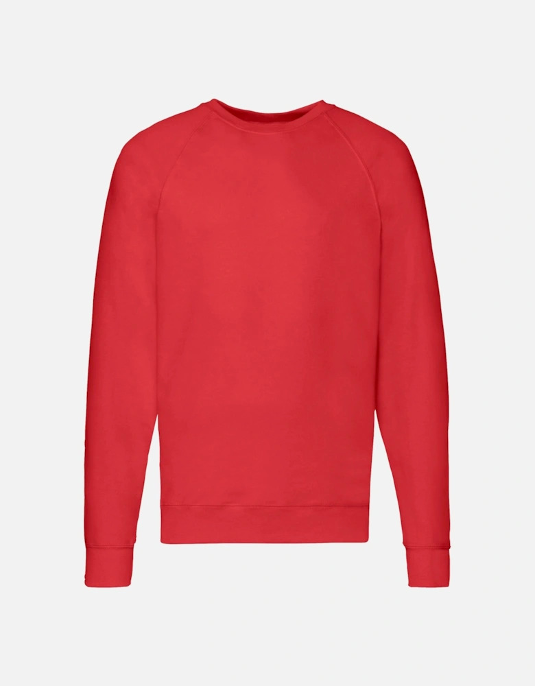 Unisex Adult Lightweight Raglan Sweatshirt
