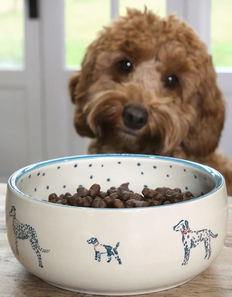 Pet Bowl Stoneware Patterned Large Fetch