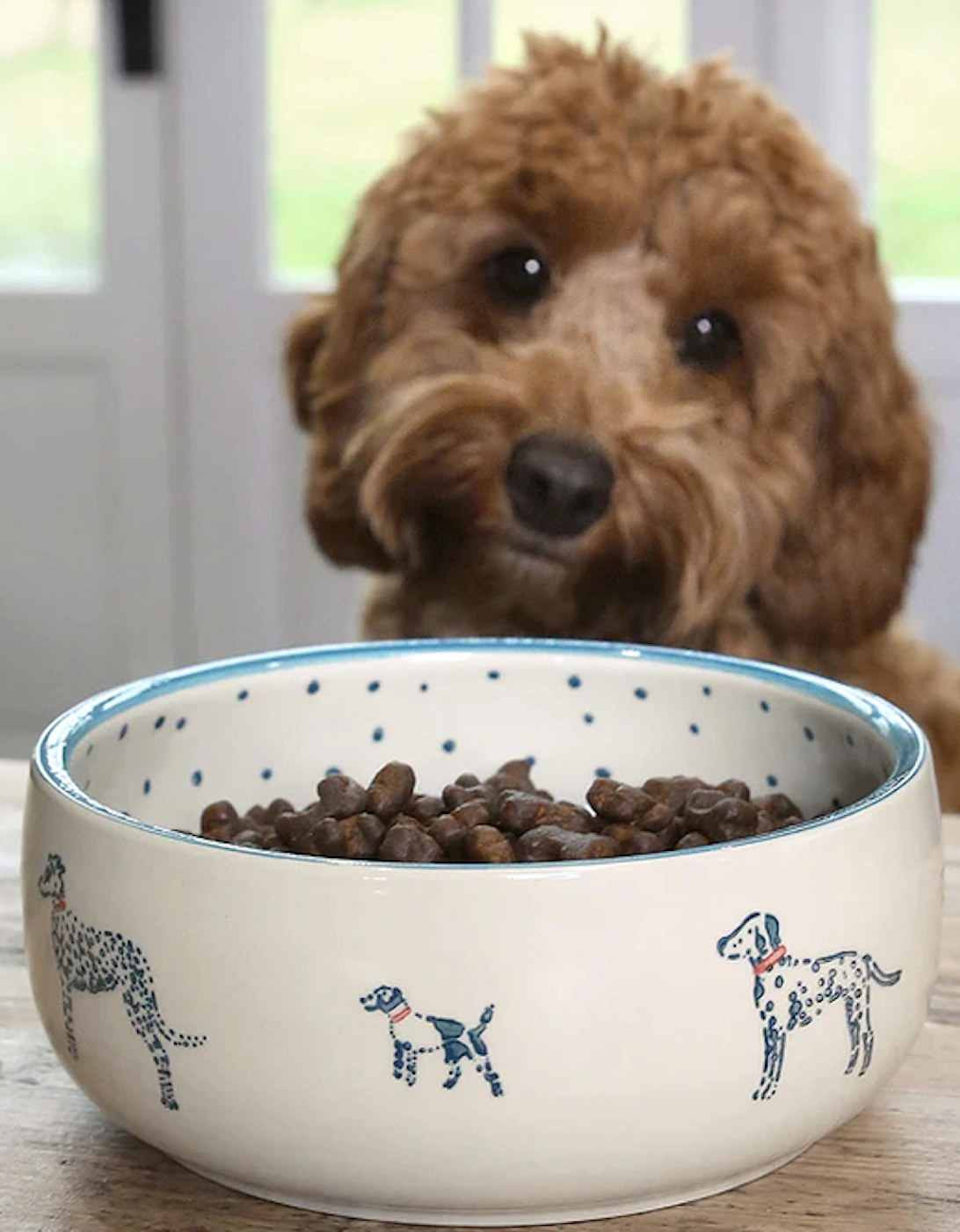 Pet Bowl Stoneware Patterned Large Fetch, 4 of 3