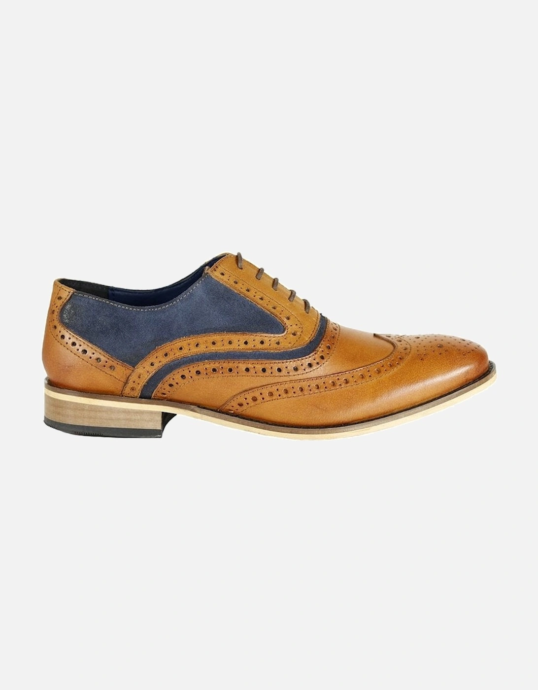 Spencer Brogue Shoes - Tan & Navy