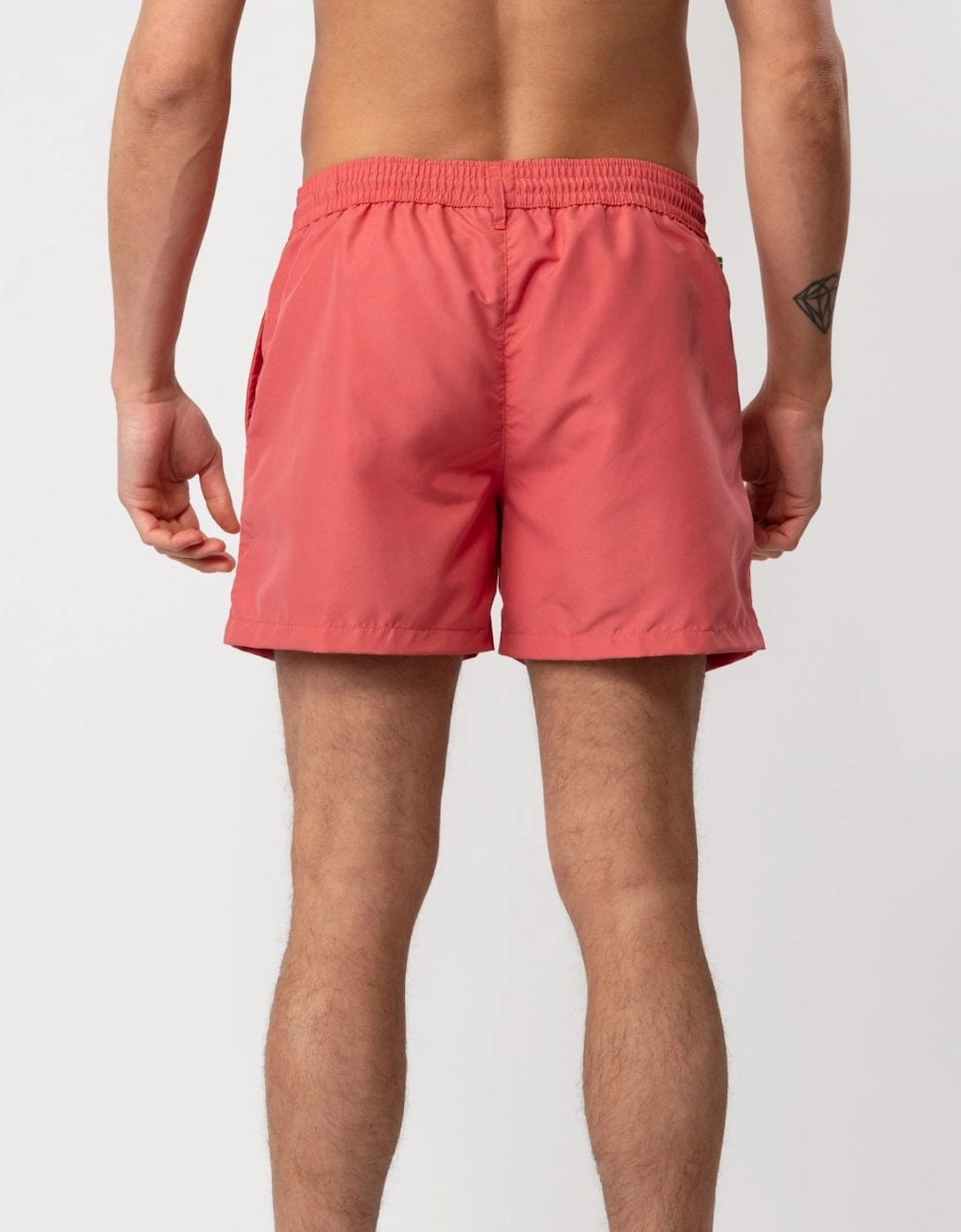 Mens Zebra Logo Swim Shorts