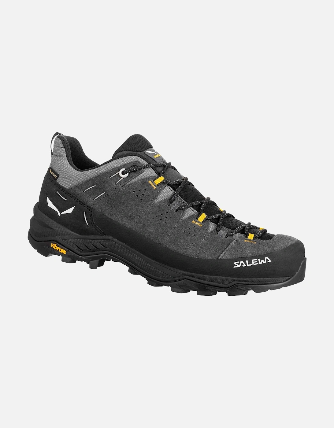 Salewa Mens Alp Trainer 2 GORE-TEX Walking Shoe, 2 of 1