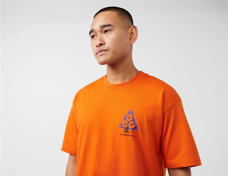 ACG 'Wildwood' T-Shirt