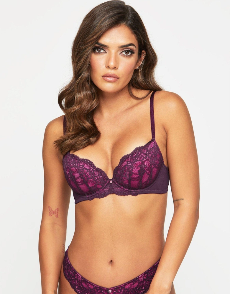 Sexy Lace Planet Padded Plunge Purple/Pink