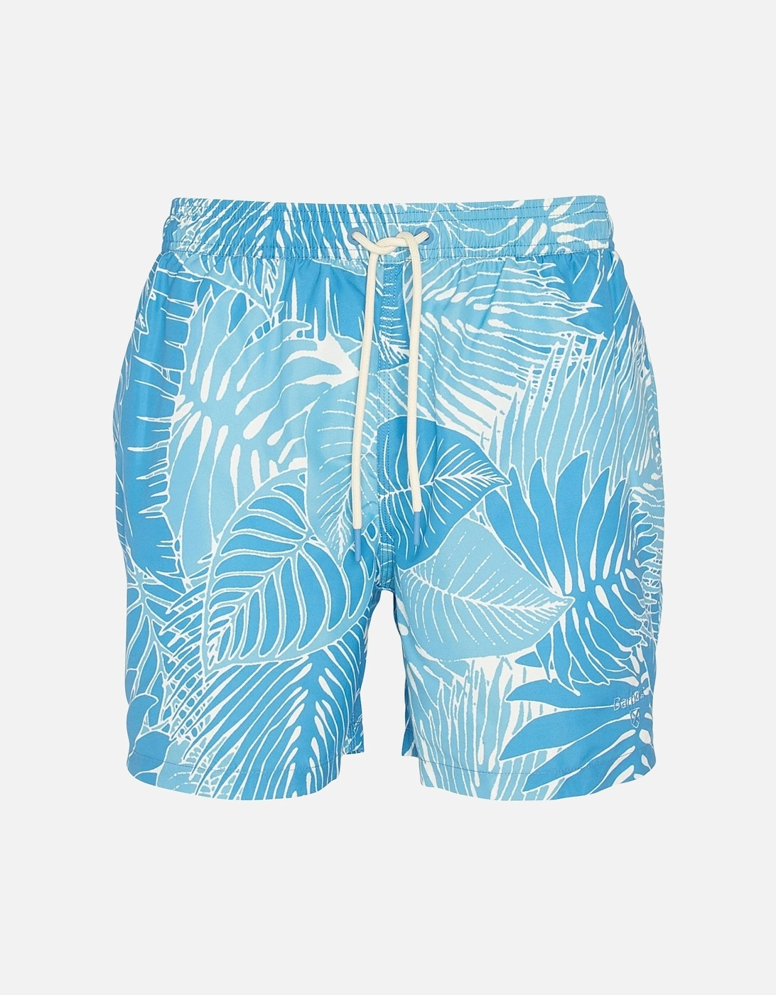 Cornwall Mens Swim Shorts