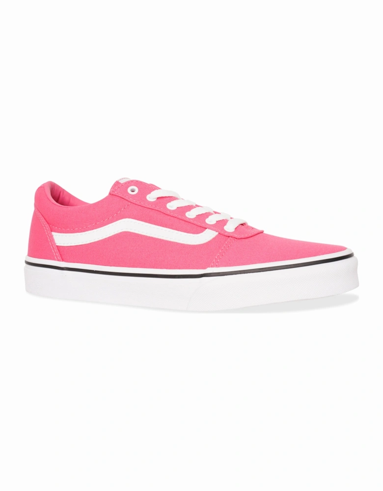 Youths Ward Canvas Honeysuckle Trainers (Pink)