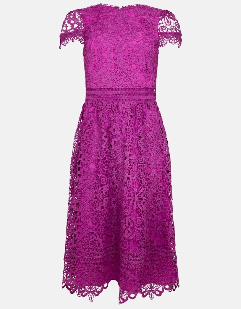 Lace Cap Sleeve Full Skirted Midi Dress
