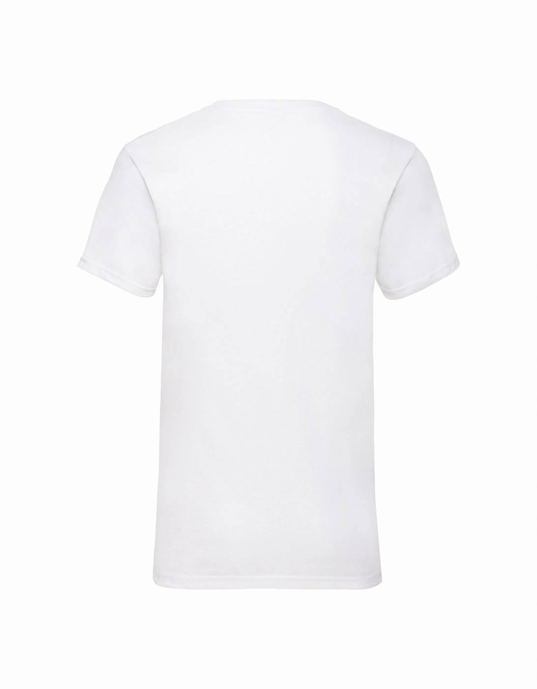 Mens Valueweight Plain V Neck T-Shirt