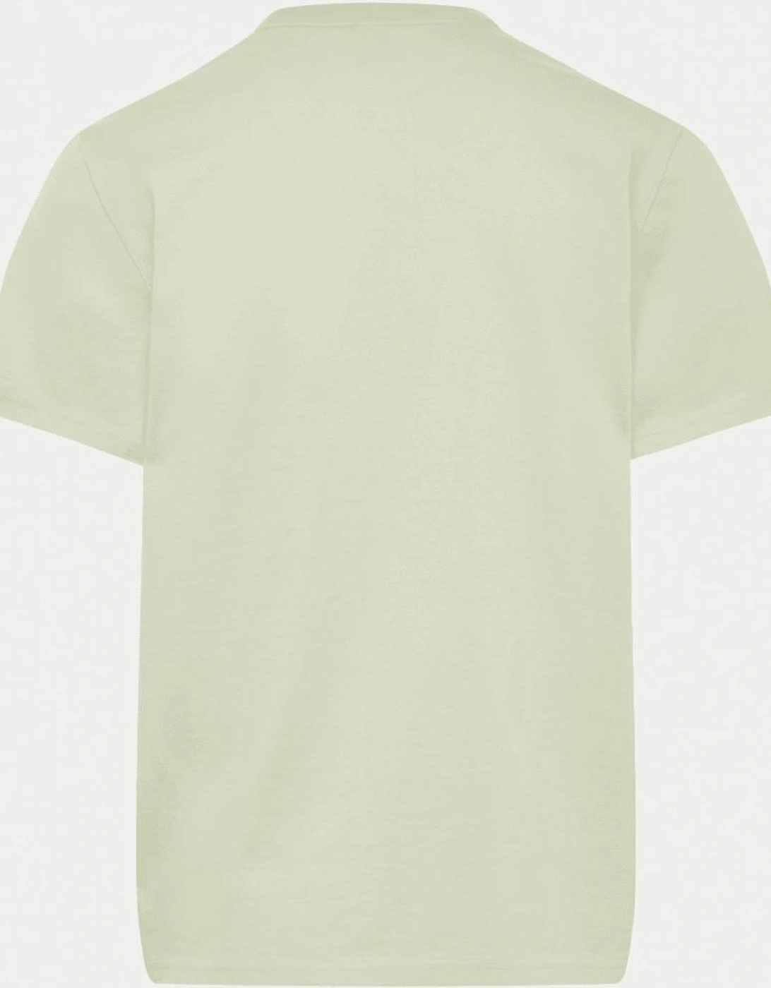 Satellite Basic Logo Mint Green T-Shirt