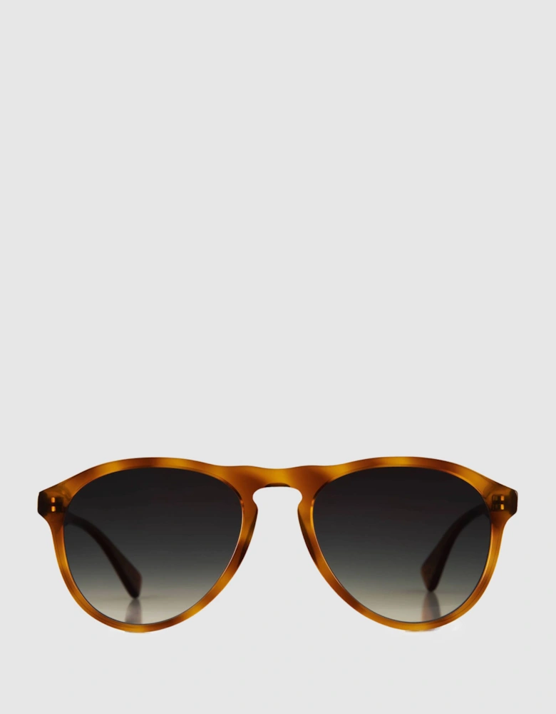 Curry and Paxton D-Shape Sunglasses