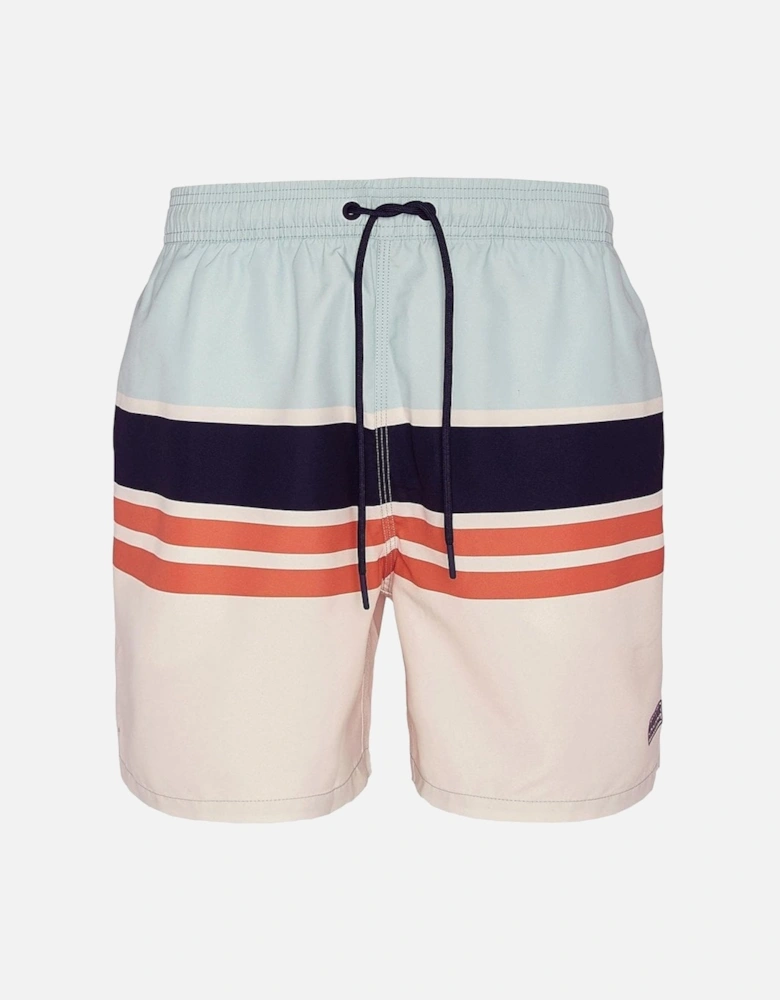 Men's Striped Swim Shorts