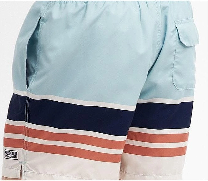 Men's Striped Swim Shorts