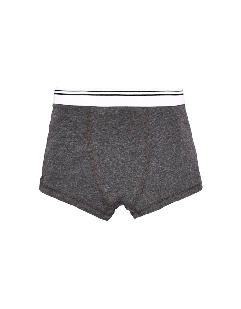 Boys 7 Pack Trunks - Grey