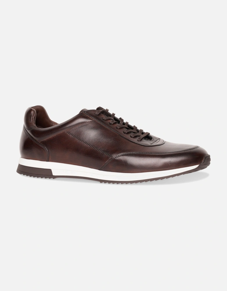 Mens Bannister Burnished Calf Trainers (Dark Brown)