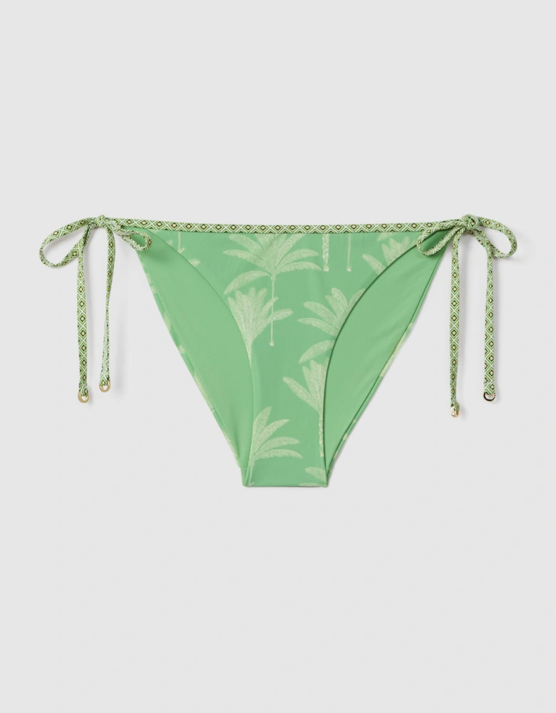 Palm Tree Print Bikini Bottoms