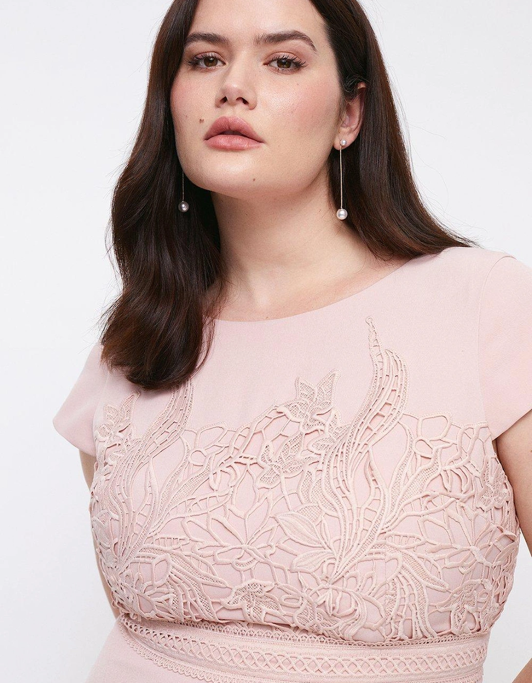 Plus Size Lace Dress With Circular Skirt