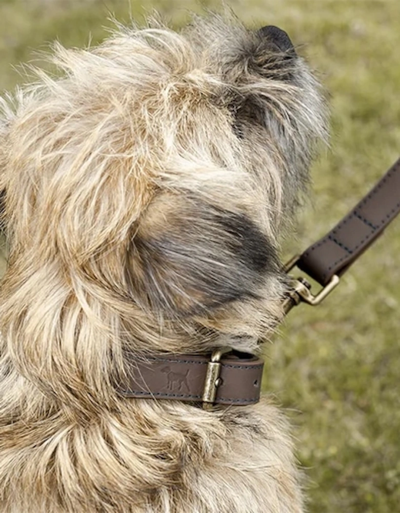 Collar Leather Stamped Medium Woof