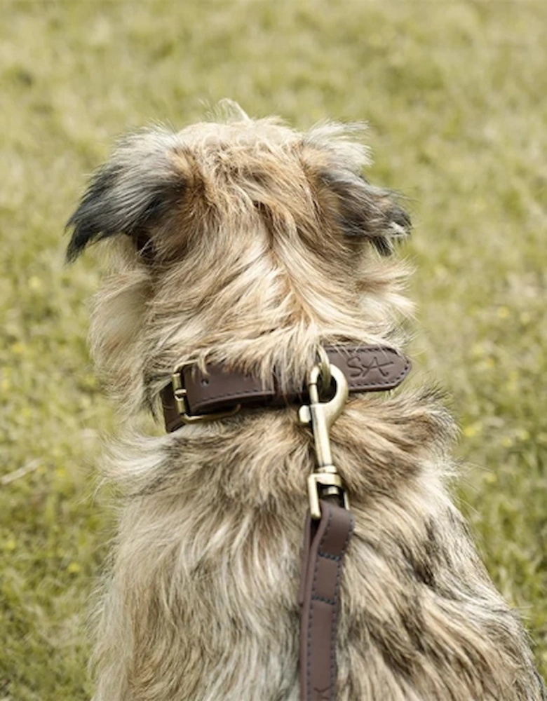 Collar Leather Stamped Medium Woof