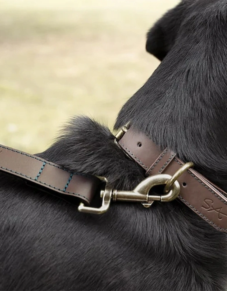 Collar Leather Stamped Medium Woof