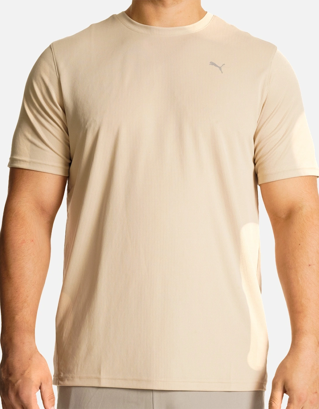 Mens Performance T-Shirt (Putty Beige), 8 of 7