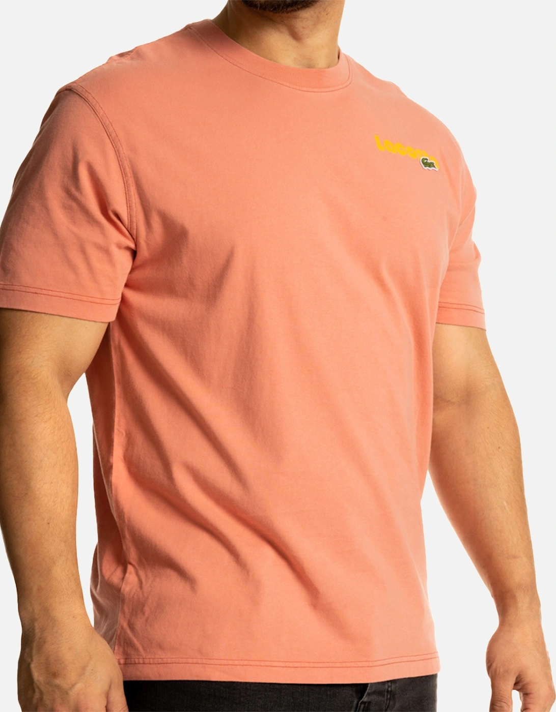 Mens Multi Back Logo T-Shirt (Rose)