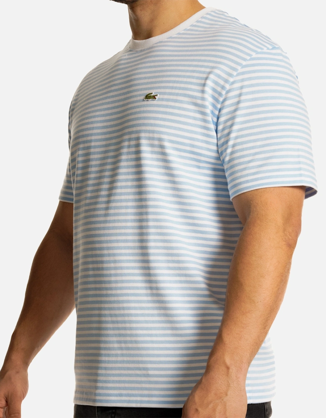 Mens Stripe T-Shirt (White/Blue)