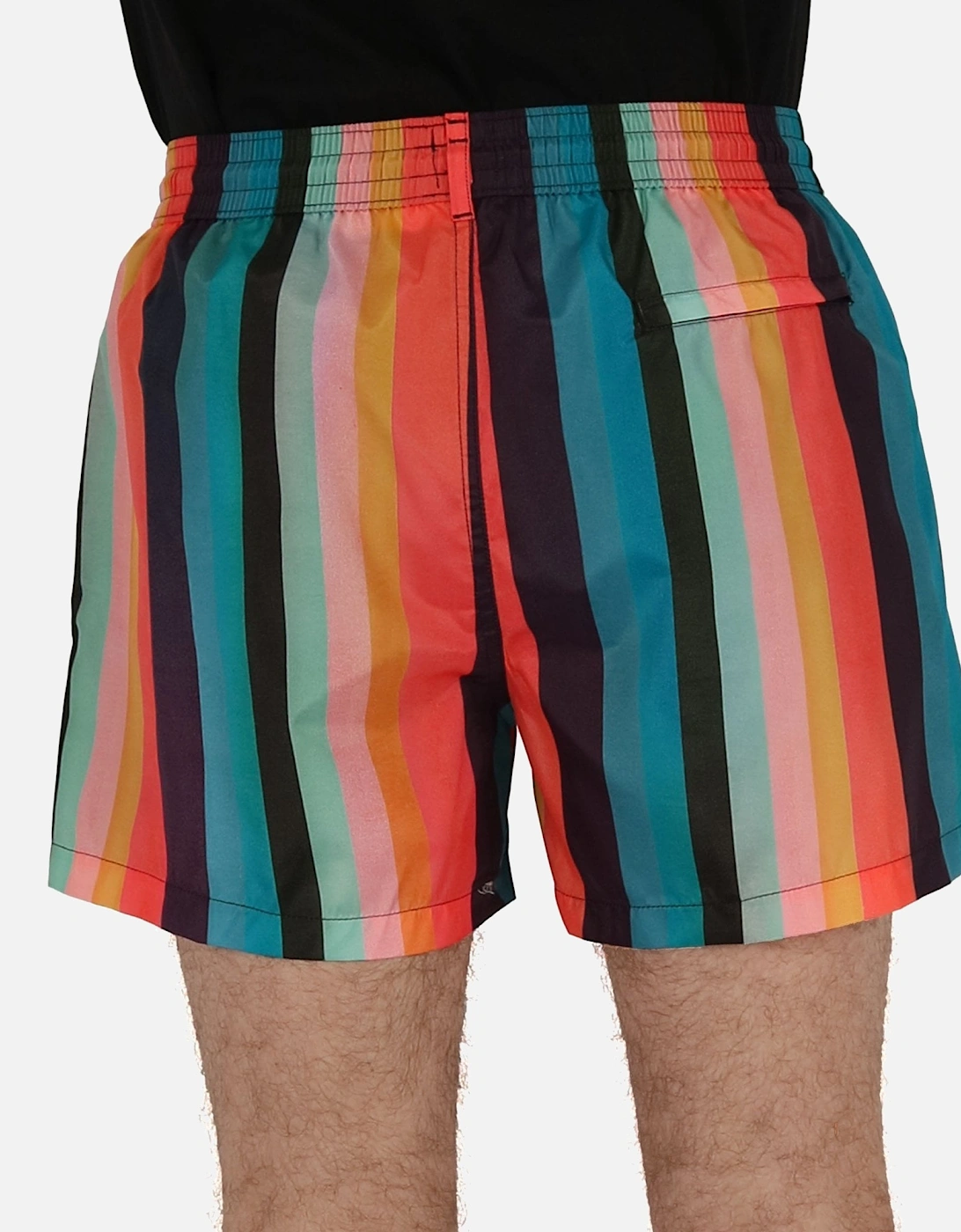Artist Striped Multicolour Swim Short